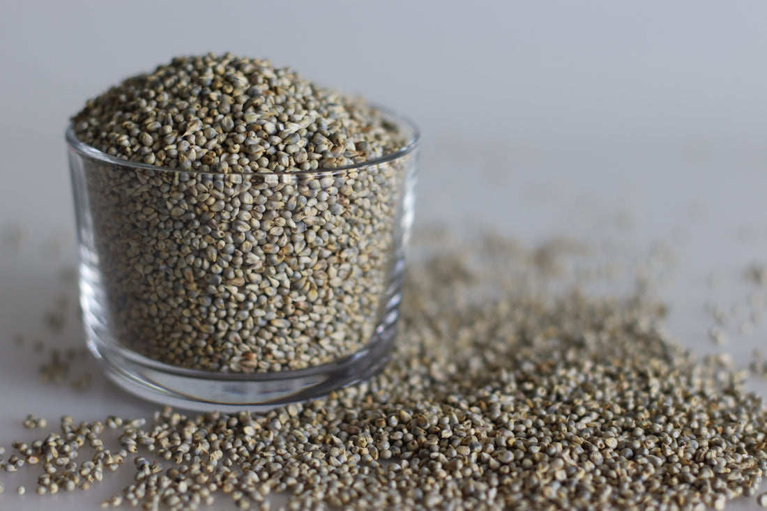 Rediscovering Indian millets: The many uses of roasted Jowar, Bajra, and Nachni